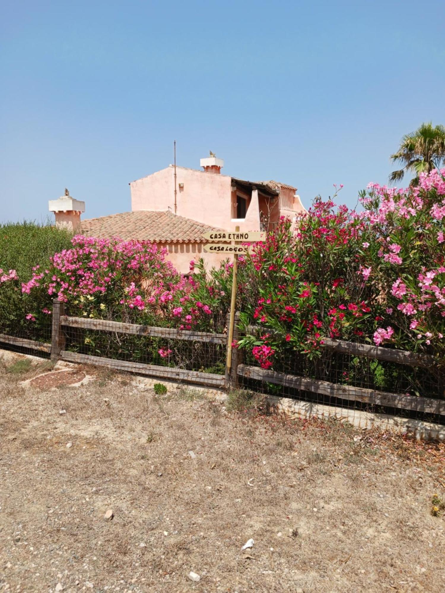 Casa Ethno Stintino-private Pool Villa Stintino